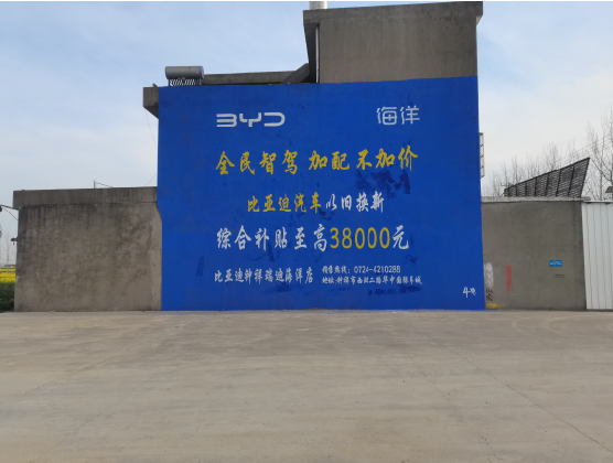 黄梅墙固是否有必要刷？