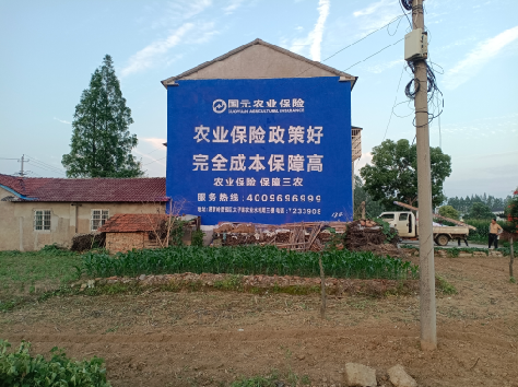 黄梅墙体广告为何受追捧？